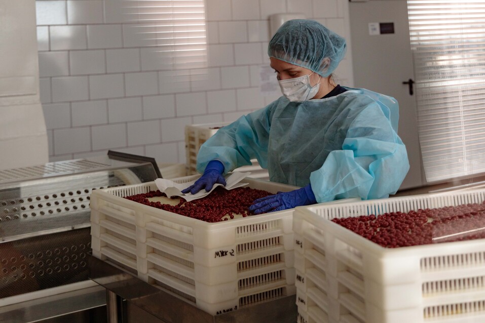 Выдох чище, чем вдох. Как компания Siberian Wellness стала одной из самых экологичных в РФ 5 Выдох чище, чем вдох. Как компания Siberian Wellness стала одной из самых экологичных в РФ 5