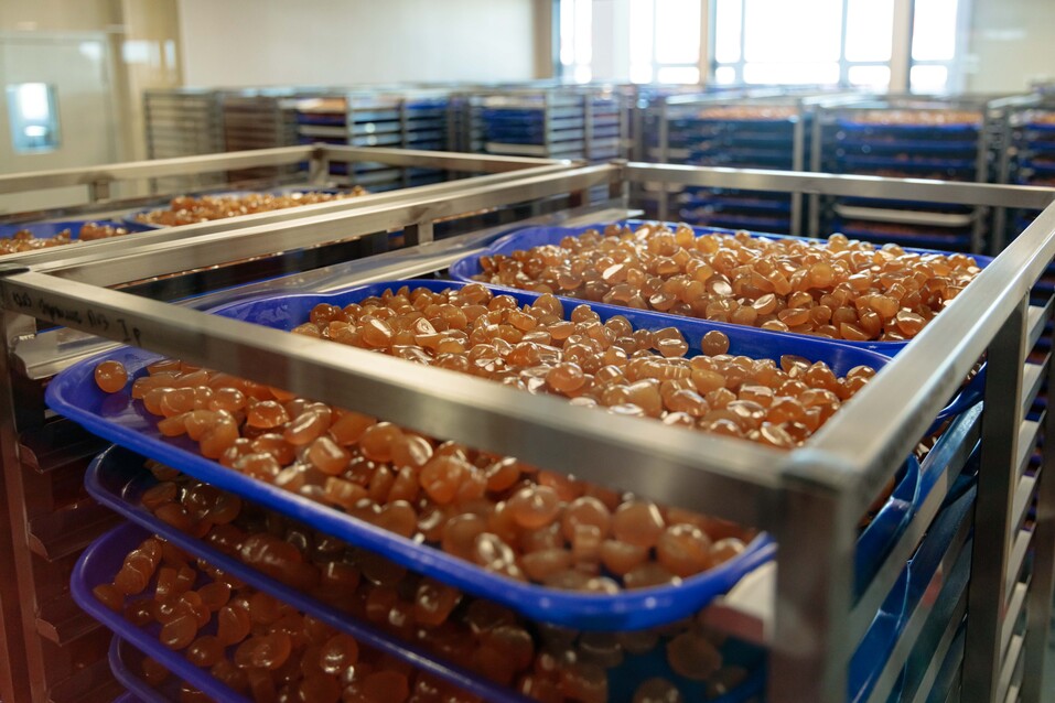 Выдох чище, чем вдох. Как компания Siberian Wellness стала одной из самых экологичных в РФ 12 Выдох чище, чем вдох. Как компания Siberian Wellness стала одной из самых экологичных в РФ 12