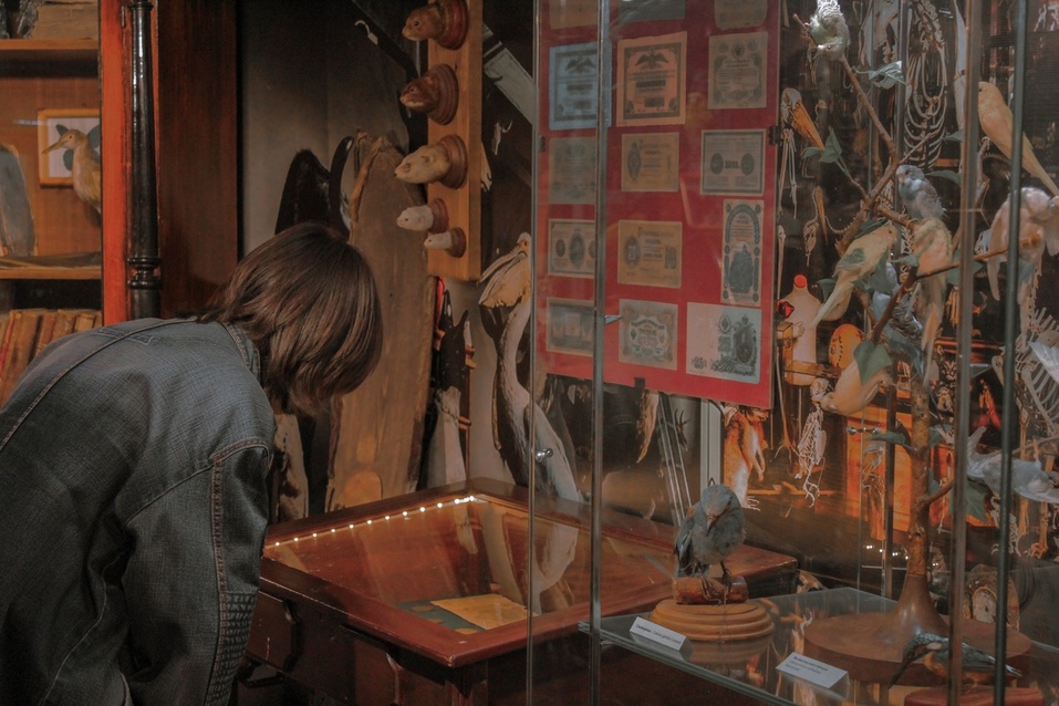 Музейные ночи, стрит-арт, море театра: куда сходить в Красноярске 18...24 мая 2024
1 Музейные ночи, стрит-арт, море театра: куда сходить в Красноярске 18...24 мая 2024
1