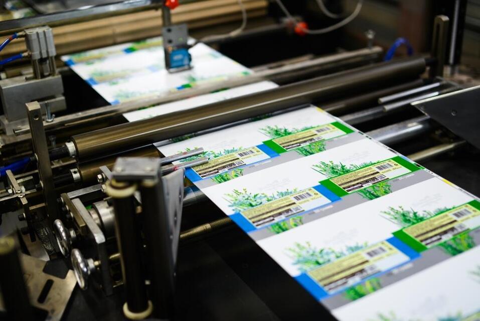 «НЕО-ПАК»: эпоха больших шансов требует здравой амбициозности 2 «НЕО-ПАК»: эпоха больших шансов требует здравой амбициозности 2