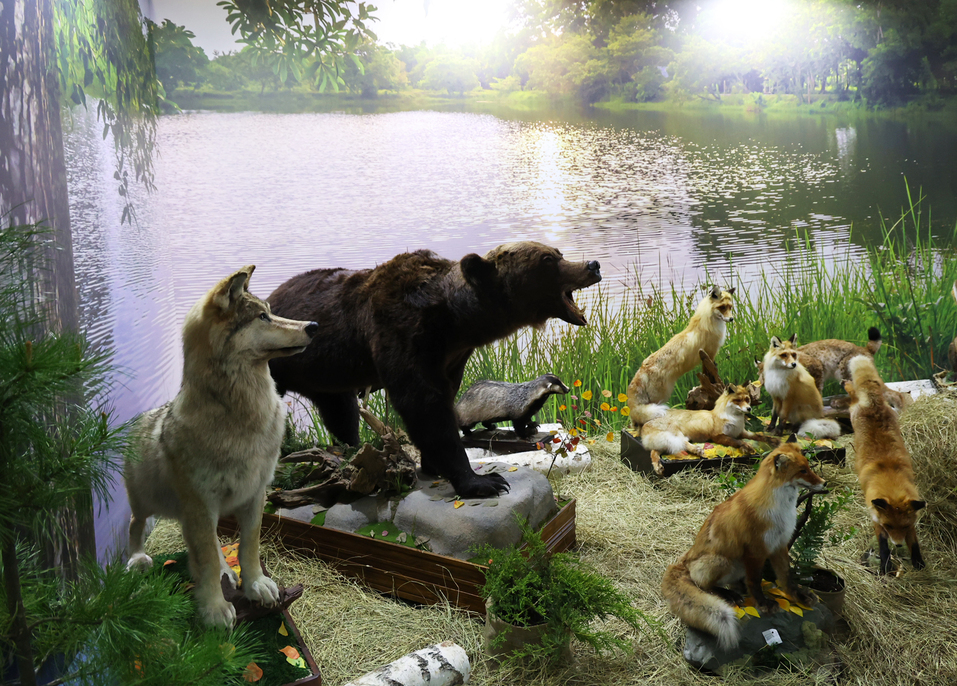 В Екатеринбурге представили уникальную экспозицию охотничьих трофеев со всего мира 1 В Екатеринбурге представили уникальную экспозицию охотничьих трофеев со всего мира 1