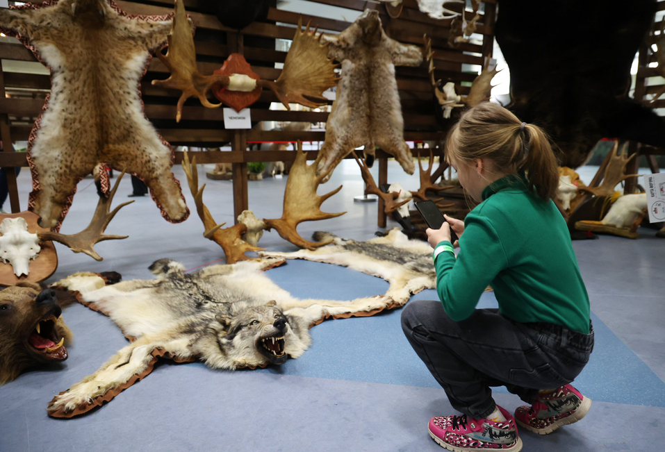 В Екатеринбурге представили уникальную экспозицию охотничьих трофеев со всего мира 3 В Екатеринбурге представили уникальную экспозицию охотничьих трофеев со всего мира 3