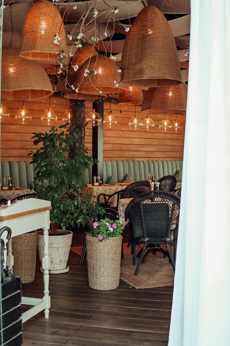 Променад по следам весны: куда сходить в Красноярске 25...31 мая 2024 4 Променад по следам весны: куда сходить в Красноярске 25...31 мая 2024 4