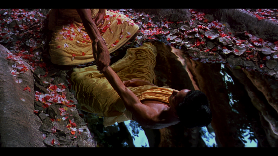 Променад по следам весны: куда сходить в Красноярске 25...31 мая 2024 2 Променад по следам весны: куда сходить в Красноярске 25...31 мая 2024 2