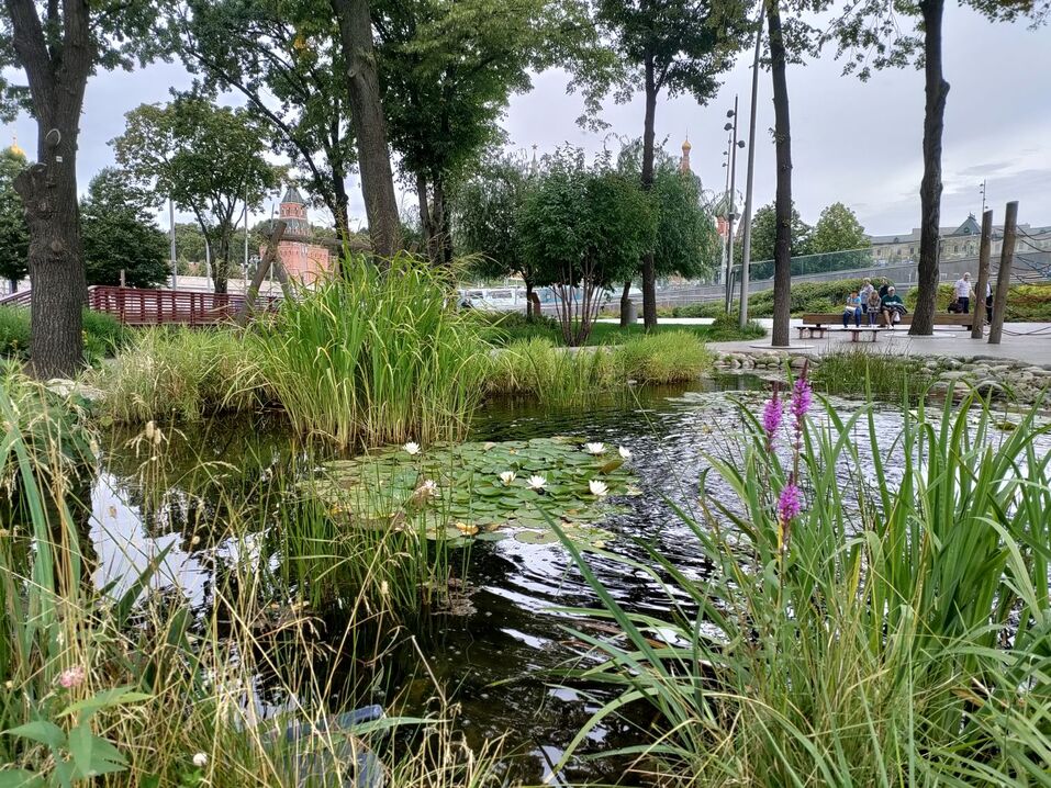 Речные прогулки и рестораны русской кухни: как провести отпуск в Москве бюджетно 6 Речные прогулки и рестораны русской кухни: как провести отпуск в Москве бюджетно 6