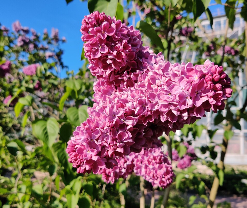 Речные прогулки и рестораны русской кухни: как провести отпуск в Москве бюджетно 11 Речные прогулки и рестораны русской кухни: как провести отпуск в Москве бюджетно 11