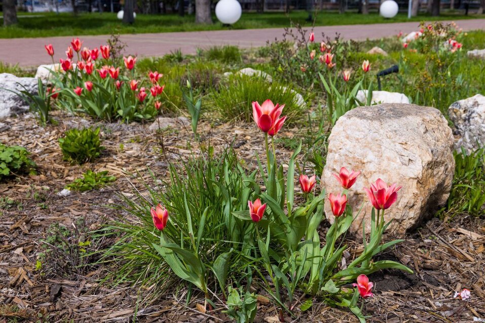 Природа и комфорт: обзор новых проектов благоустройства Челябинска 4 Природа и комфорт: обзор новых проектов благоустройства Челябинска 4