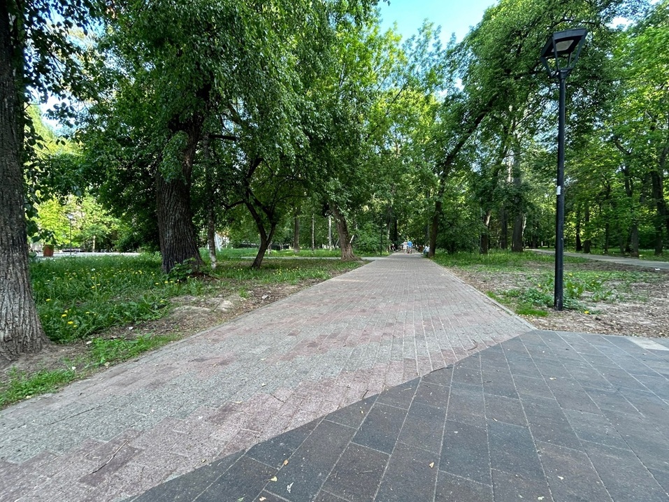 Фото: Александра Прусакова Фото: Александра Прусакова