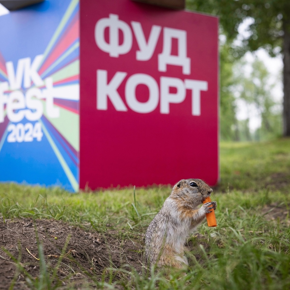 19 тыс. гостей собрал VK Fest за один день в Красноярске 1 19 тыс. гостей собрал VK Fest за один день в Красноярске 1