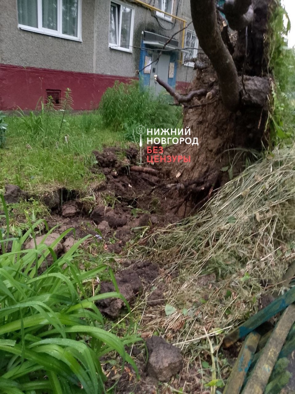 Фото: https://vk.com/bez_cenznn Фото: https://vk.com/bez_cenznn