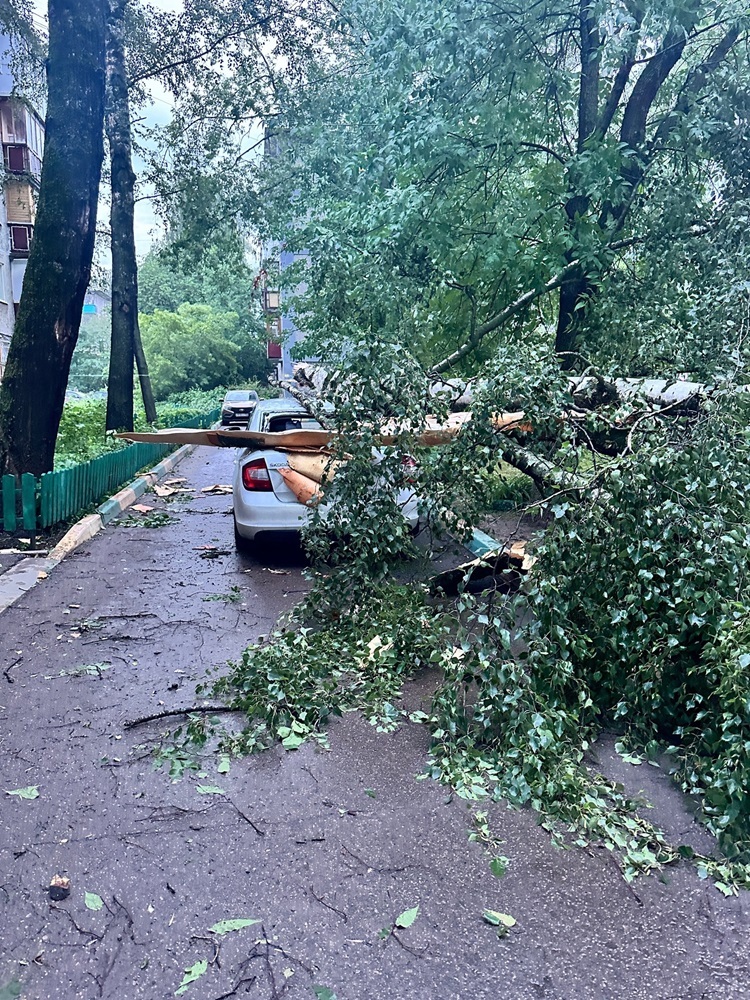 Фото: https://vk.com/bez_cenznn Фото: https://vk.com/bez_cenznn