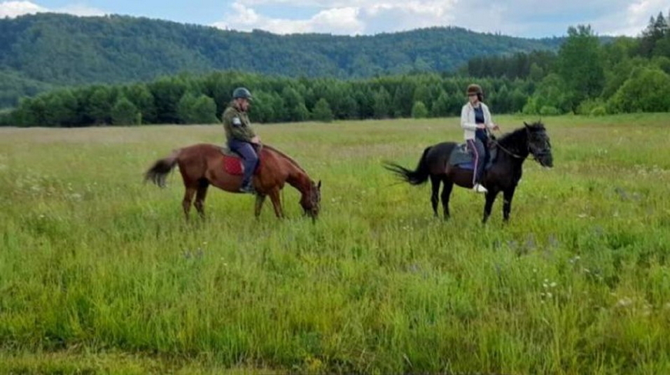 На продажу выставлена база отдыха рядом с «Оленьими ручьями» 2 На продажу выставлена база отдыха рядом с «Оленьими ручьями» 2