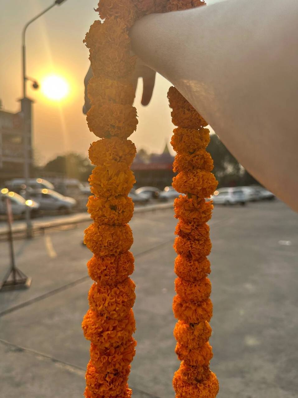 Затерянный мир Азии. Путешествие в королевство Мустанг 5 Затерянный мир Азии. Путешествие в королевство Мустанг 5