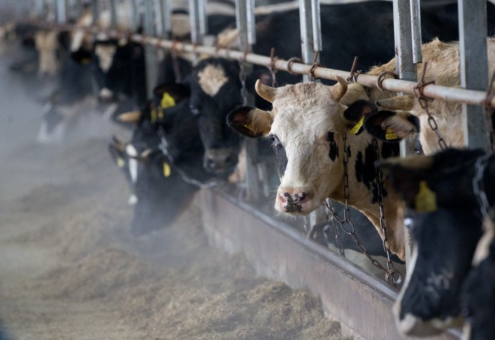 Алексей Кобылин: «Агропромышленный комплекс сегодня — наукоемкая отрасль» 3 Алексей Кобылин: «Агропромышленный комплекс сегодня — наукоемкая отрасль» 3