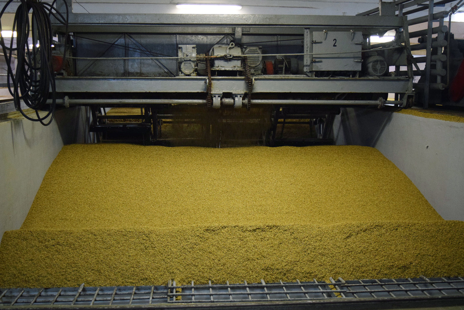 Хмель, солод, вода и совесть пивовара: как в Тагиле делают напитки, известные всей стране 3 Хмель, солод, вода и совесть пивовара: как в Тагиле делают напитки, известные всей стране 3