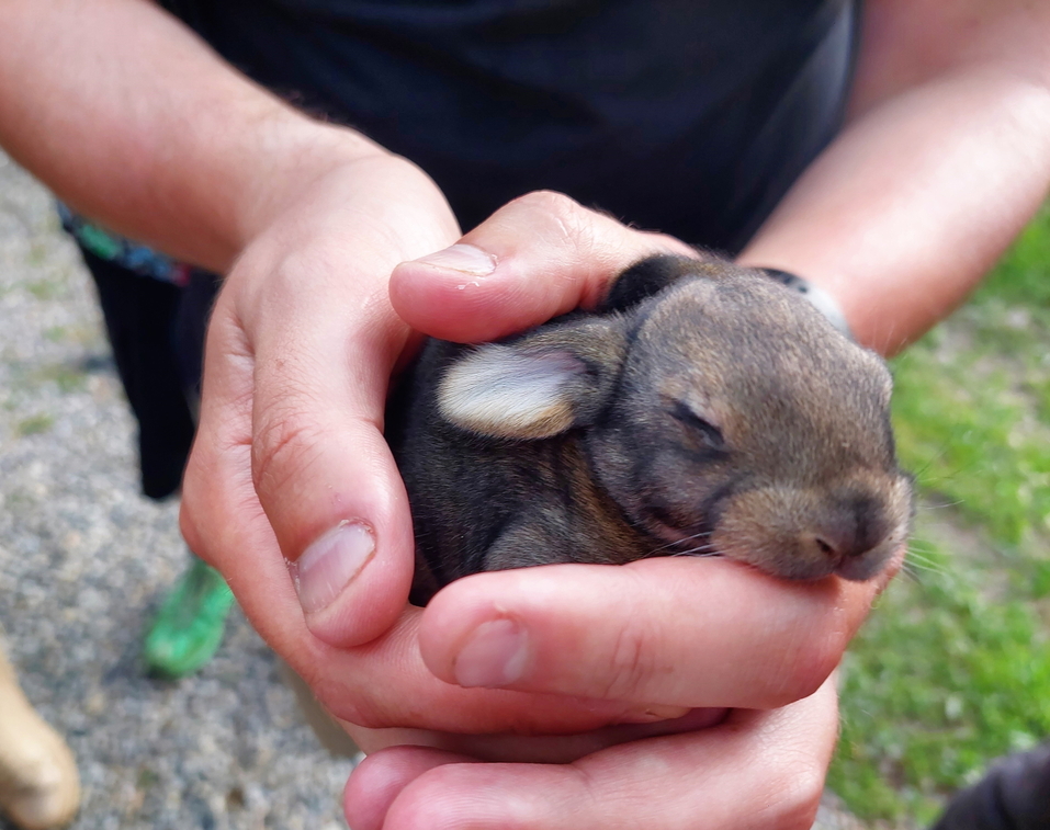 Единственный судоходный, шаманский и ремесленный. Чем удивляет туристов Каменск-Уральский? 19 Единственный судоходный, шаманский и ремесленный. Чем удивляет туристов Каменск-Уральский? 19