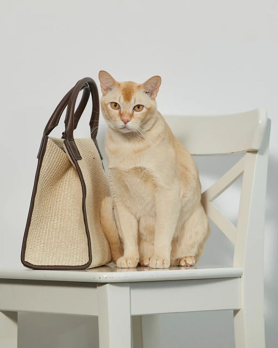 «Если бы кто-то сказал, что у меня будет дома такой зоопарк, я бы не поверил» 11 «Если бы кто-то сказал, что у меня будет дома такой зоопарк, я бы не поверил» 11