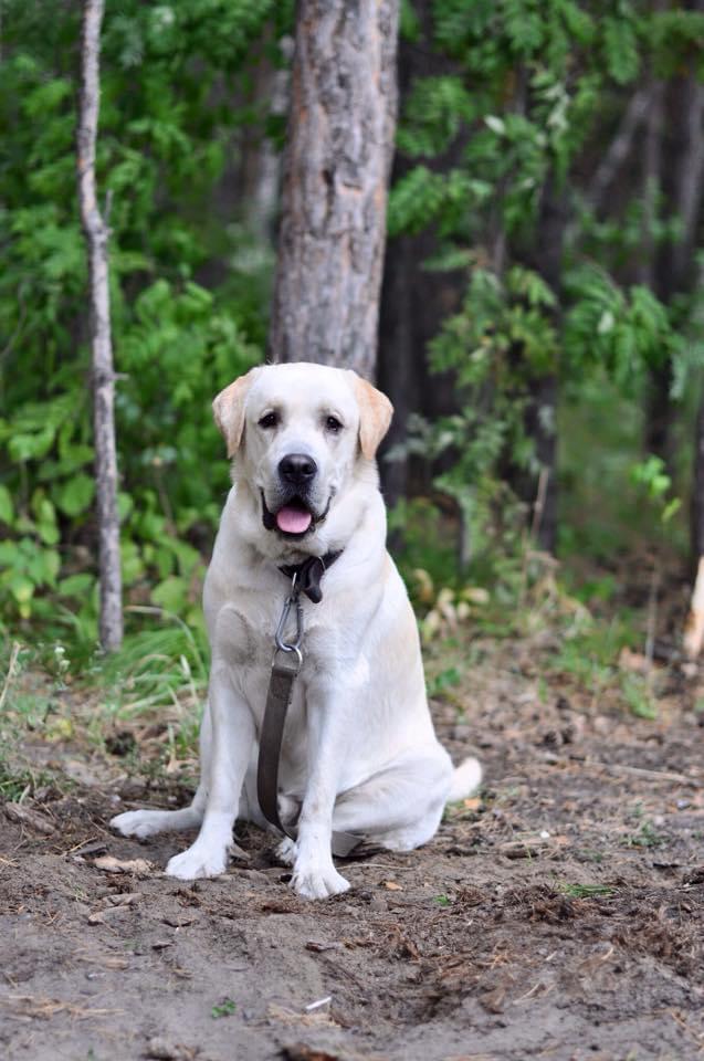 «Если бы кто-то сказал, что у меня будет дома такой зоопарк, я бы не поверил» 16 «Если бы кто-то сказал, что у меня будет дома такой зоопарк, я бы не поверил» 16