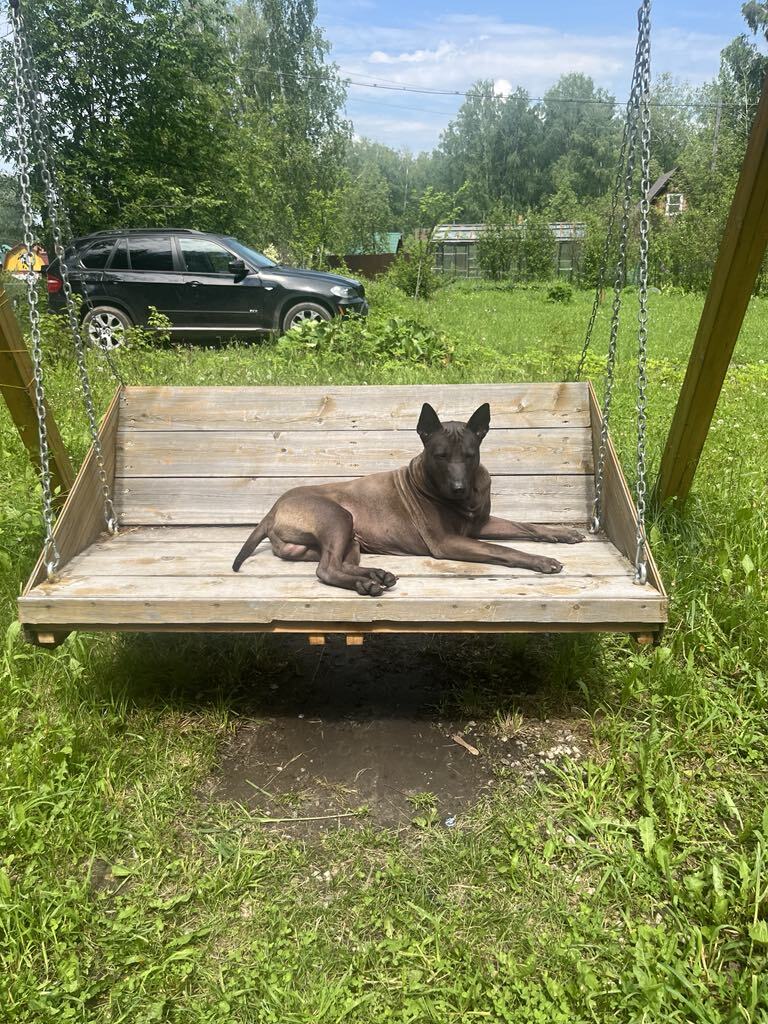 «Если бы кто-то сказал, что у меня будет дома такой зоопарк, я бы не поверил» 20 «Если бы кто-то сказал, что у меня будет дома такой зоопарк, я бы не поверил» 20