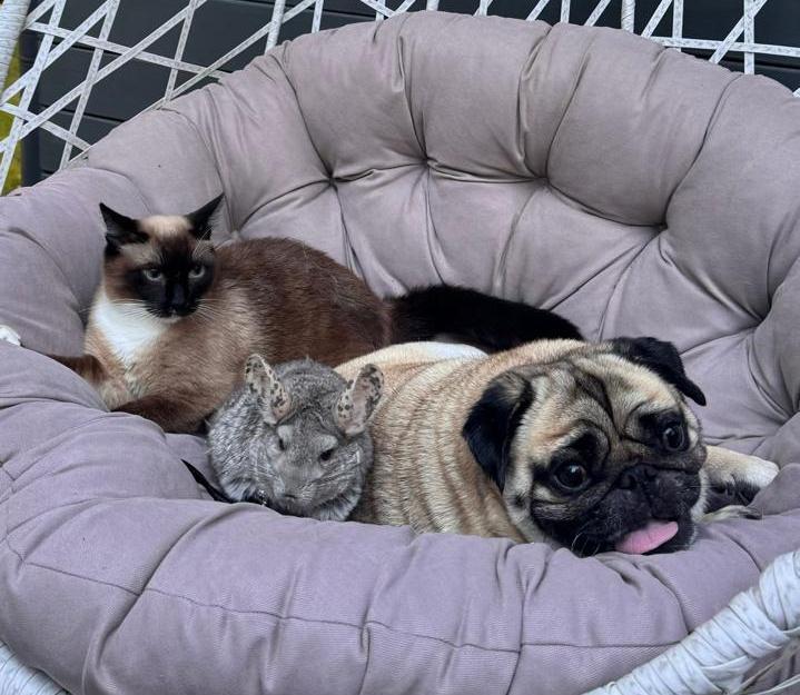 «Если бы кто-то сказал, что у меня будет дома такой зоопарк, я бы не поверил» 5 «Если бы кто-то сказал, что у меня будет дома такой зоопарк, я бы не поверил» 5