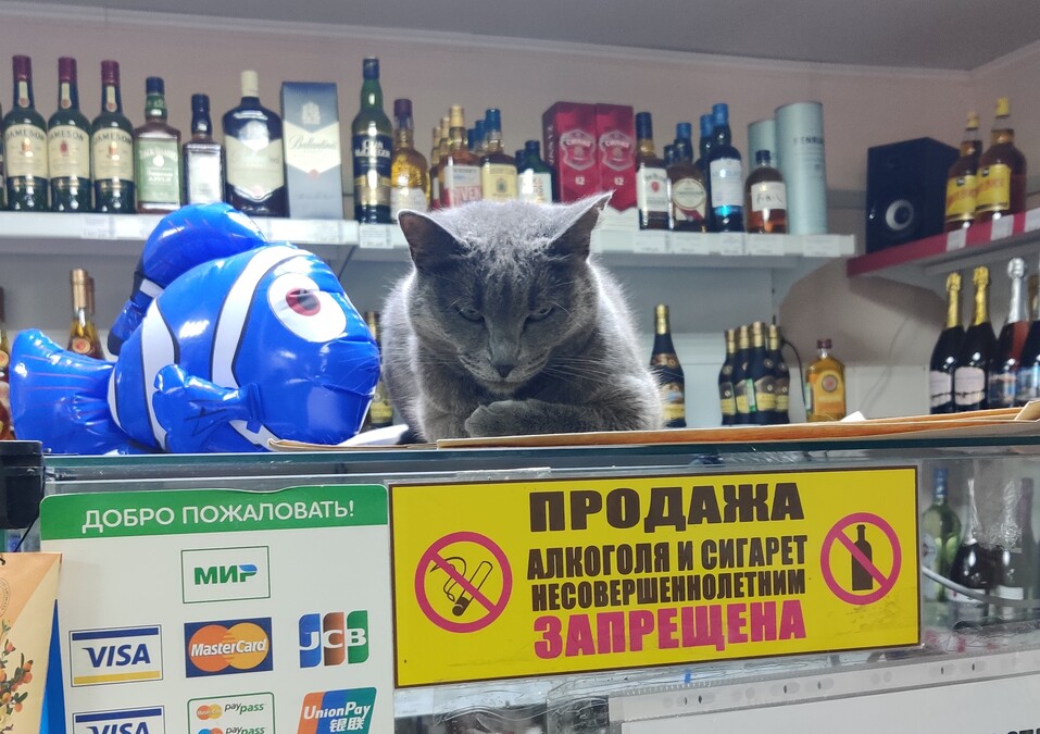 Как на берегу самого глубокого озера планеты рождается искусство — «Радуга» на Байкале 48 Как на берегу самого глубокого озера планеты рождается искусство — «Радуга» на Байкале 48