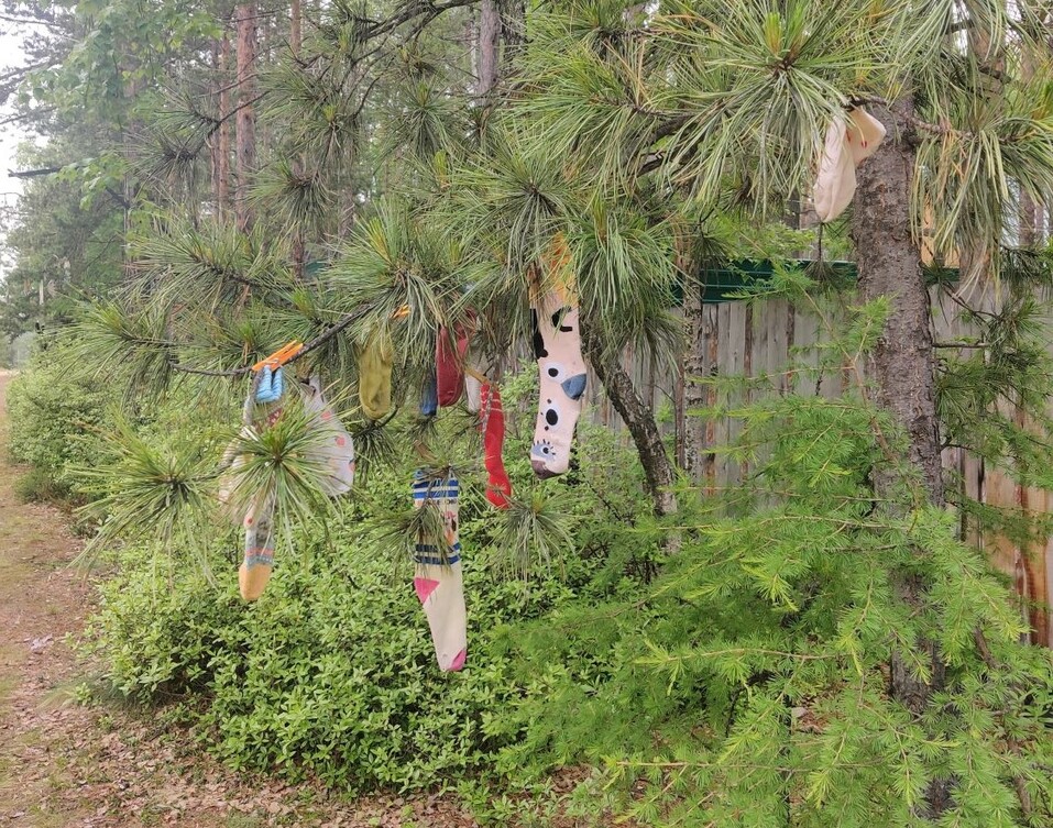 Как на берегу самого глубокого озера планеты рождается искусство — «Радуга» на Байкале 6 Как на берегу самого глубокого озера планеты рождается искусство — «Радуга» на Байкале 6