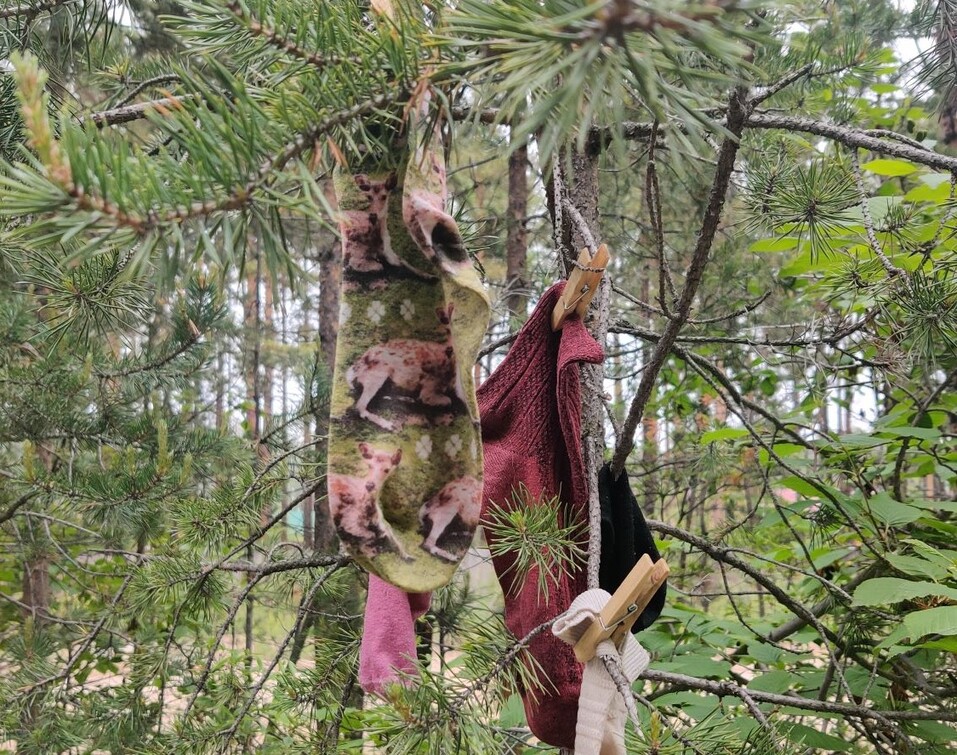 Как на берегу самого глубокого озера планеты рождается искусство — «Радуга» на Байкале 7 Как на берегу самого глубокого озера планеты рождается искусство — «Радуга» на Байкале 7