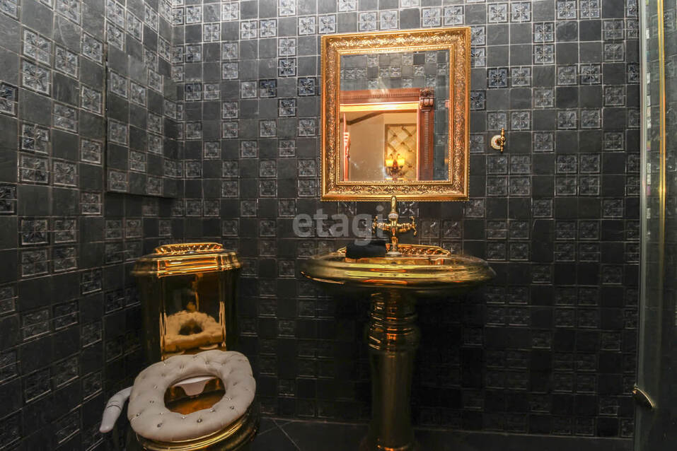 В Тюмени за 150 млн рублей продают офис в квартире с золотым унитазом 4 В Тюмени за 150 млн рублей продают офис в квартире с золотым унитазом 4