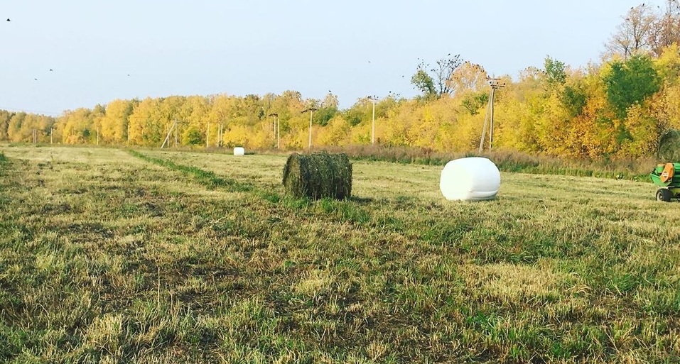 Экологичные продукты и сельский туризм: как экс-директор «Завьялихи» создает экоферму 4 Экологичные продукты и сельский туризм: как экс-директор «Завьялихи» создает экоферму 4