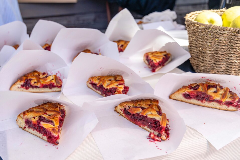 Как прошел Family Day-2024 от «Делового квартала». Фотоотчет 109 Как прошел Family Day-2024 от «Делового квартала». Фотоотчет 109