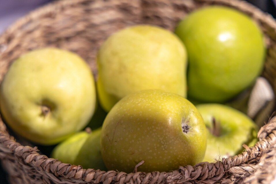 Как прошел Family Day-2024 от «Делового квартала». Фотоотчет 110 Как прошел Family Day-2024 от «Делового квартала». Фотоотчет 110