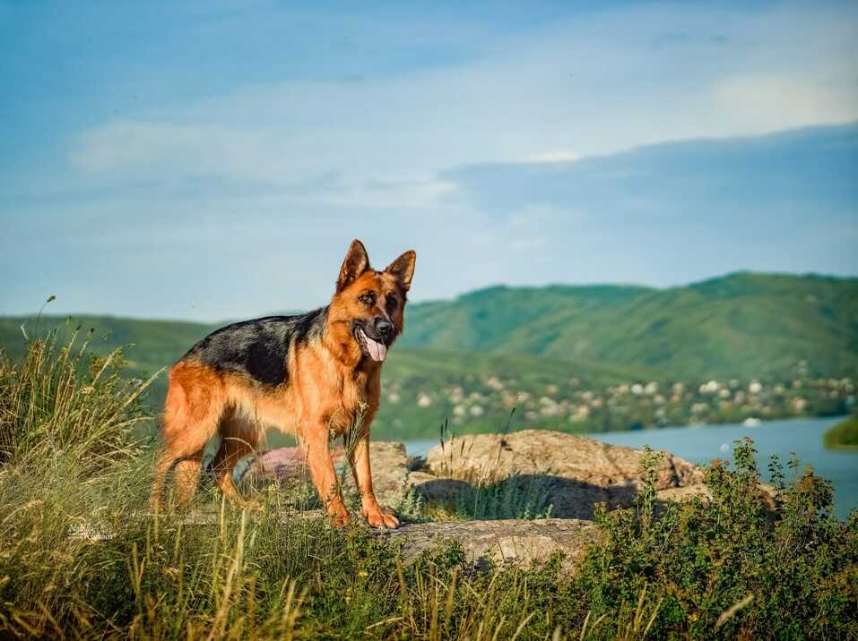 Центры Вселенной и антистрессы — кто покорил сердца новосибирских бизнесменов 7 Центры Вселенной и антистрессы — кто покорил сердца новосибирских бизнесменов 7