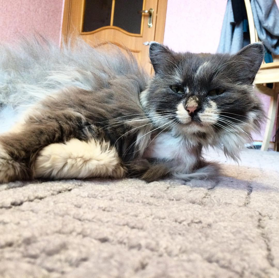 Центры Вселенной и антистрессы — кто покорил сердца новосибирских бизнесменов 9 Центры Вселенной и антистрессы — кто покорил сердца новосибирских бизнесменов 9