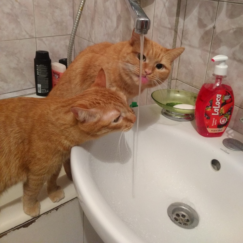 Центры Вселенной и антистрессы — кто покорил сердца новосибирских бизнесменов 10 Центры Вселенной и антистрессы — кто покорил сердца новосибирских бизнесменов 10