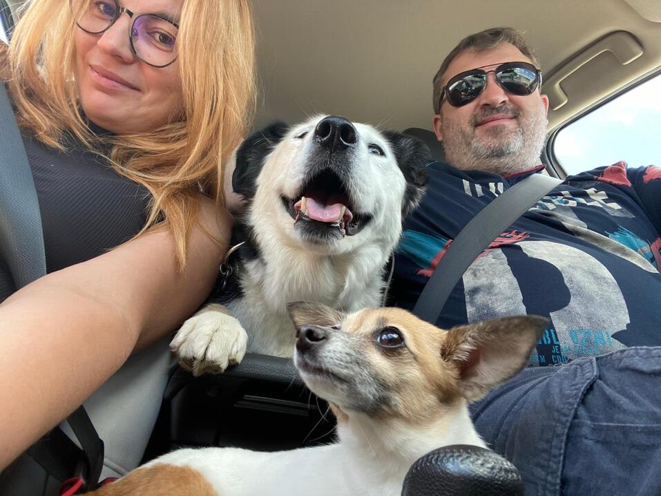 Центры Вселенной и антистрессы — кто покорил сердца новосибирских бизнесменов 11 Центры Вселенной и антистрессы — кто покорил сердца новосибирских бизнесменов 11