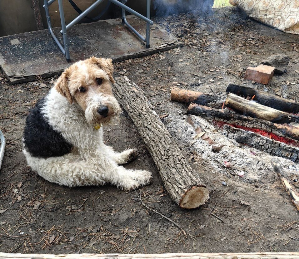 Центры Вселенной и антистрессы — кто покорил сердца новосибирских бизнесменов 21 Центры Вселенной и антистрессы — кто покорил сердца новосибирских бизнесменов 21