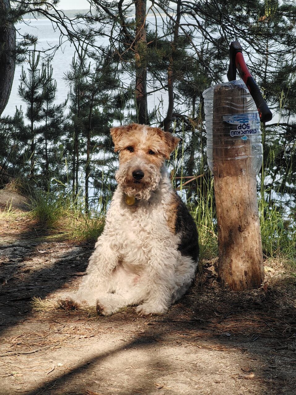 Центры Вселенной и антистрессы — кто покорил сердца новосибирских бизнесменов 20 Центры Вселенной и антистрессы — кто покорил сердца новосибирских бизнесменов 20