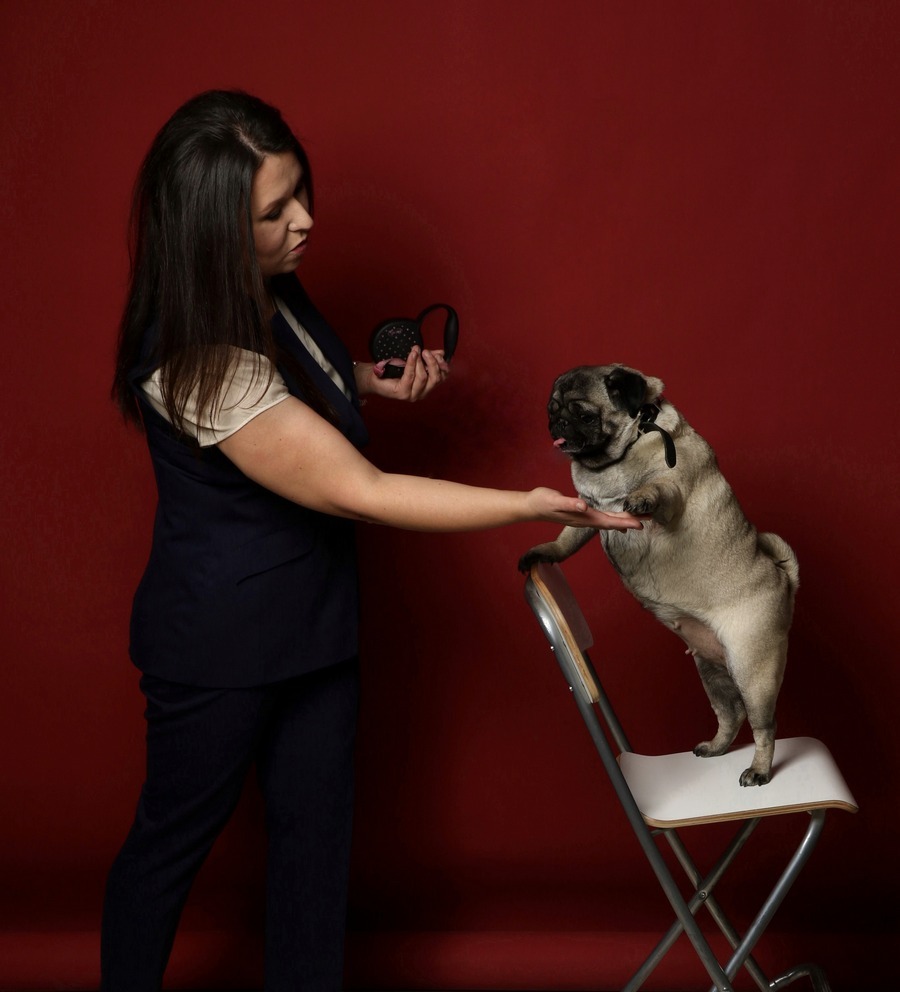 Центры Вселенной и антистрессы — кто покорил сердца новосибирских бизнесменов 22 Центры Вселенной и антистрессы — кто покорил сердца новосибирских бизнесменов 22