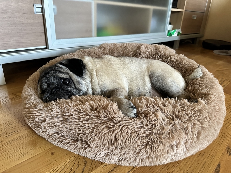 Центры Вселенной и антистрессы — кто покорил сердца новосибирских бизнесменов 25 Центры Вселенной и антистрессы — кто покорил сердца новосибирских бизнесменов 25