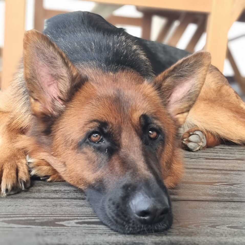 Центры Вселенной и антистрессы — кто покорил сердца новосибирских бизнесменов 6 Центры Вселенной и антистрессы — кто покорил сердца новосибирских бизнесменов 6