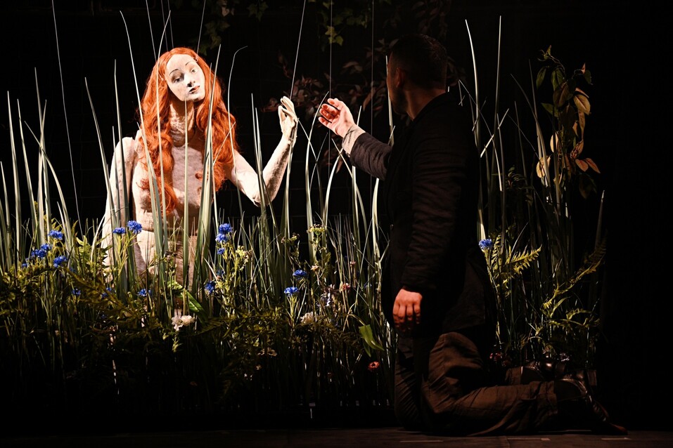 От Сибири до сердца: куда сходить в Красноярске 17...23 августа 2024 5 От Сибири до сердца: куда сходить в Красноярске 17...23 августа 2024 5