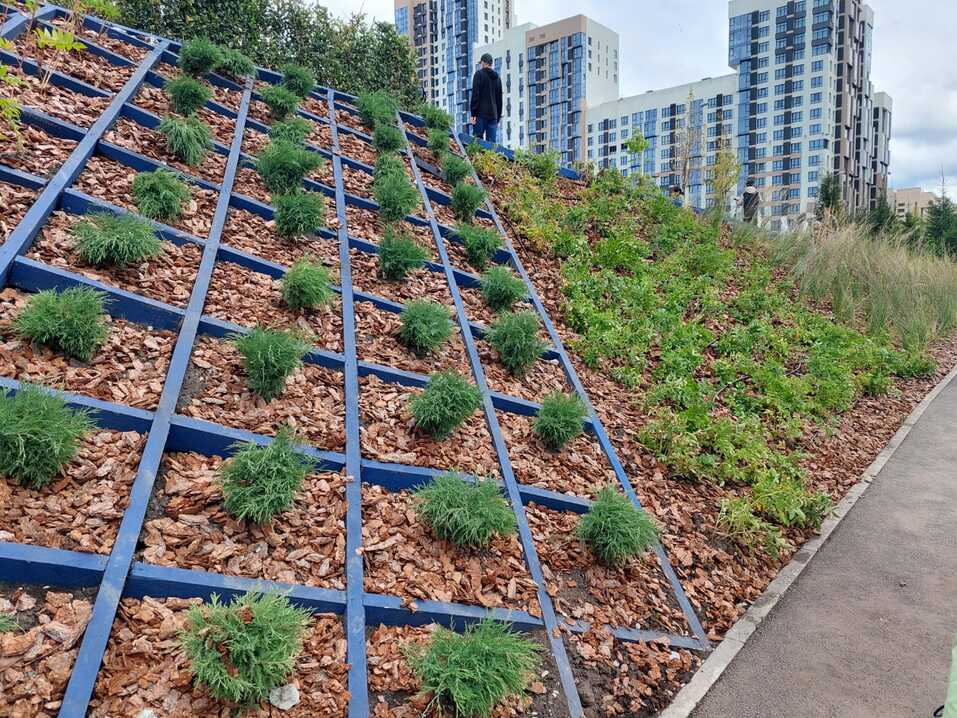 «Без зеленых технологий город не простоит века, его придется отстраивать заново» 9 «Без зеленых технологий город не простоит века, его придется отстраивать заново» 9