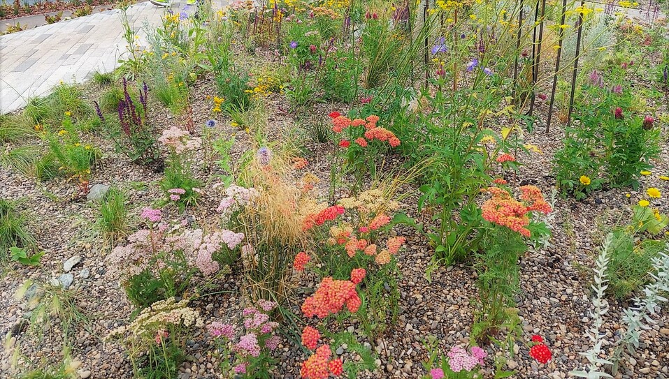 «Без зеленых технологий город не простоит века, его придется отстраивать заново» 3 «Без зеленых технологий город не простоит века, его придется отстраивать заново» 3