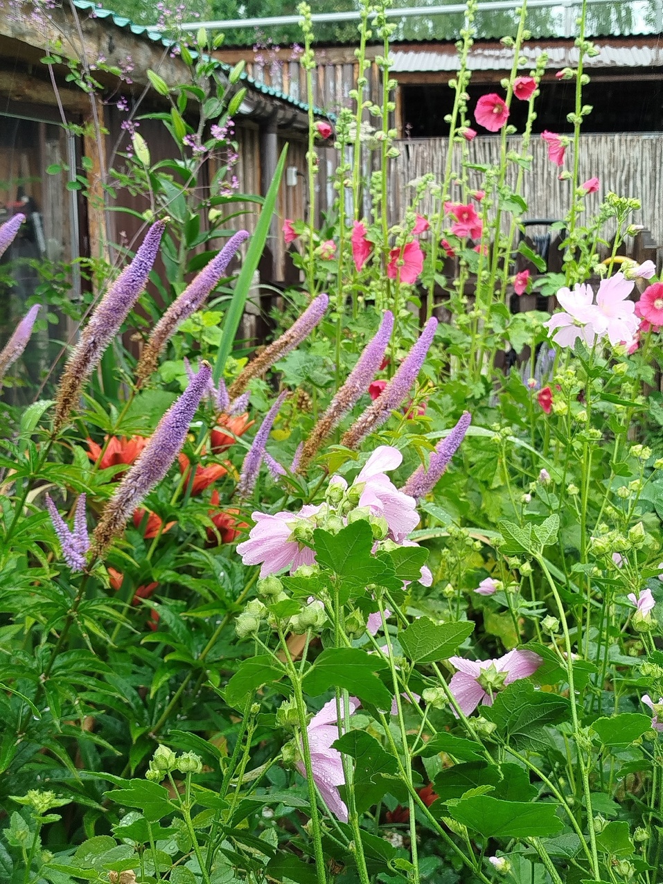 Как побывать на Луне, не прибегая к услугам Илона Маска: рукотворная усадьба на ул. Лунной 8 Как побывать на Луне, не прибегая к услугам Илона Маска: рукотворная усадьба на ул. Лунной 8