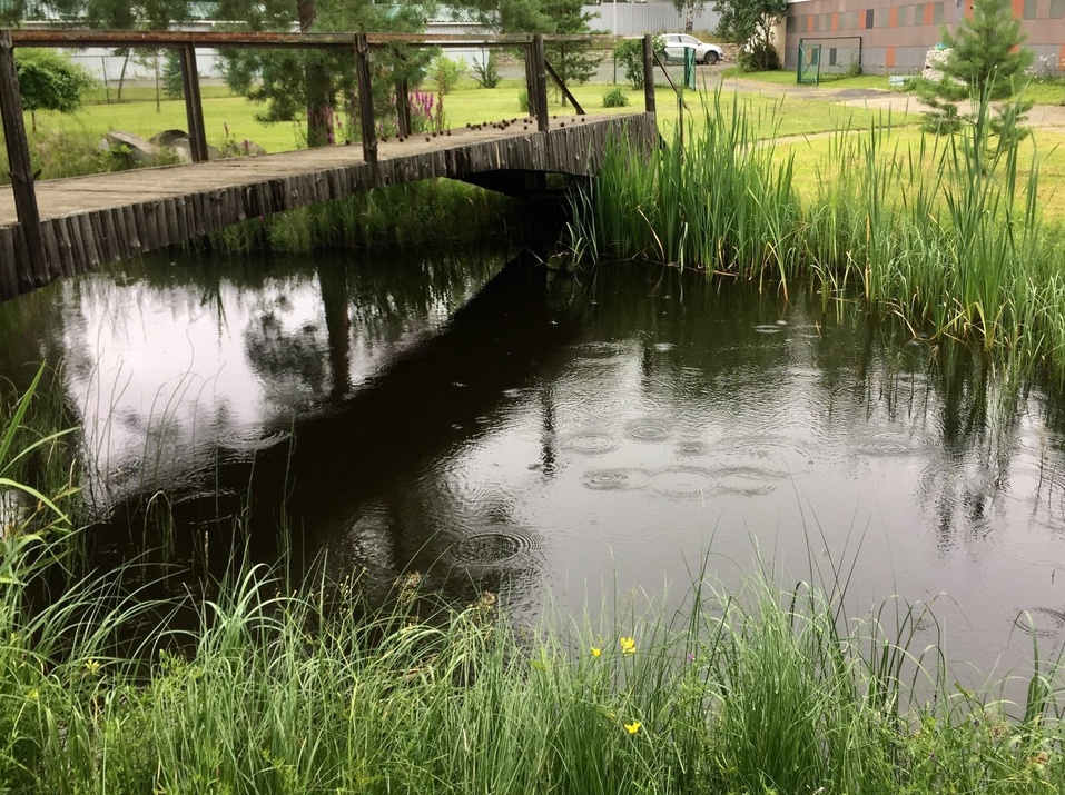 Как побывать на Луне, не прибегая к услугам Илона Маска: рукотворная усадьба на ул. Лунной 10 Как побывать на Луне, не прибегая к услугам Илона Маска: рукотворная усадьба на ул. Лунной 10