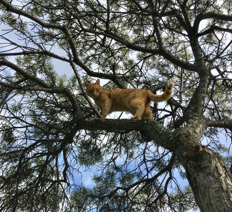 Как побывать на Луне, не прибегая к услугам Илона Маска: рукотворная усадьба на ул. Лунной 11 Как побывать на Луне, не прибегая к услугам Илона Маска: рукотворная усадьба на ул. Лунной 11
