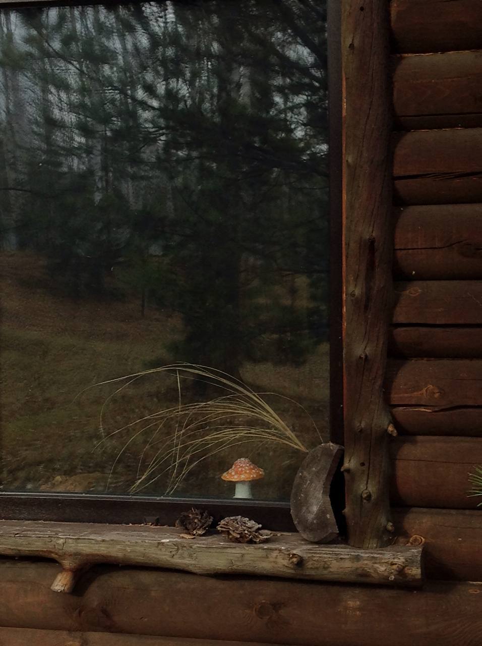 Как побывать на Луне, не прибегая к услугам Илона Маска: рукотворная усадьба на ул. Лунной 12 Как побывать на Луне, не прибегая к услугам Илона Маска: рукотворная усадьба на ул. Лунной 12