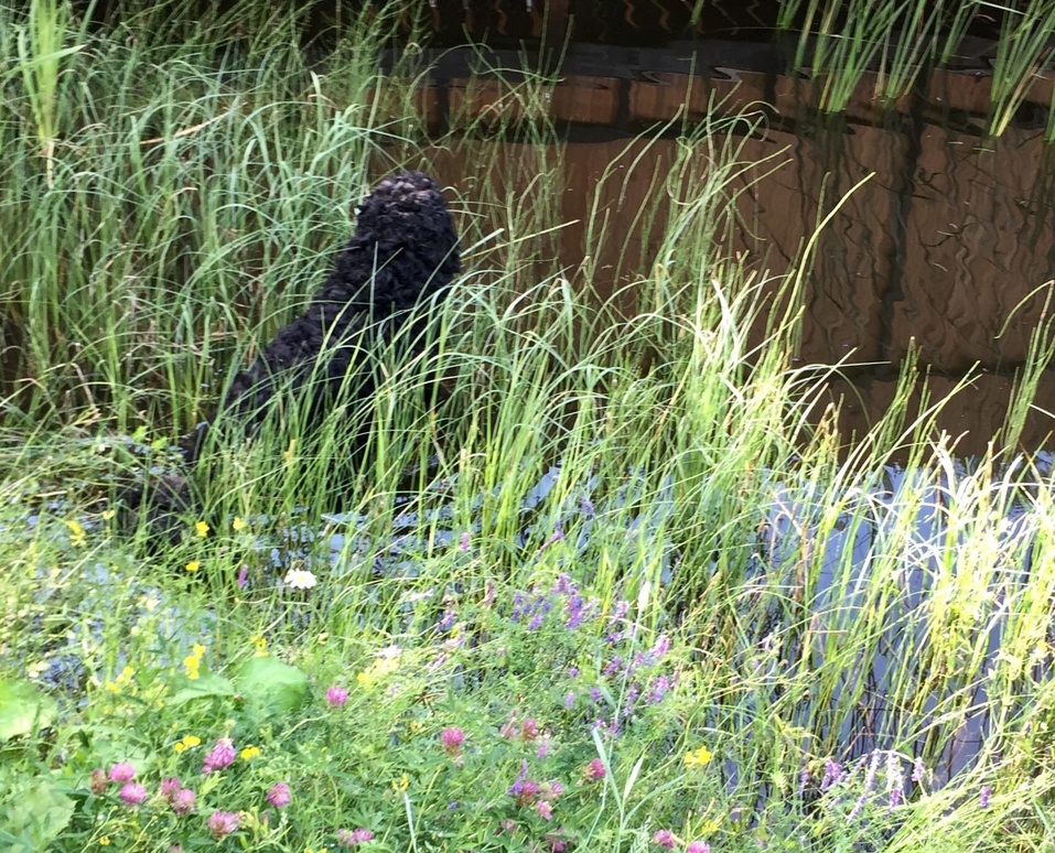 Как побывать на Луне, не прибегая к услугам Илона Маска: рукотворная усадьба на ул. Лунной 21 Как побывать на Луне, не прибегая к услугам Илона Маска: рукотворная усадьба на ул. Лунной 21