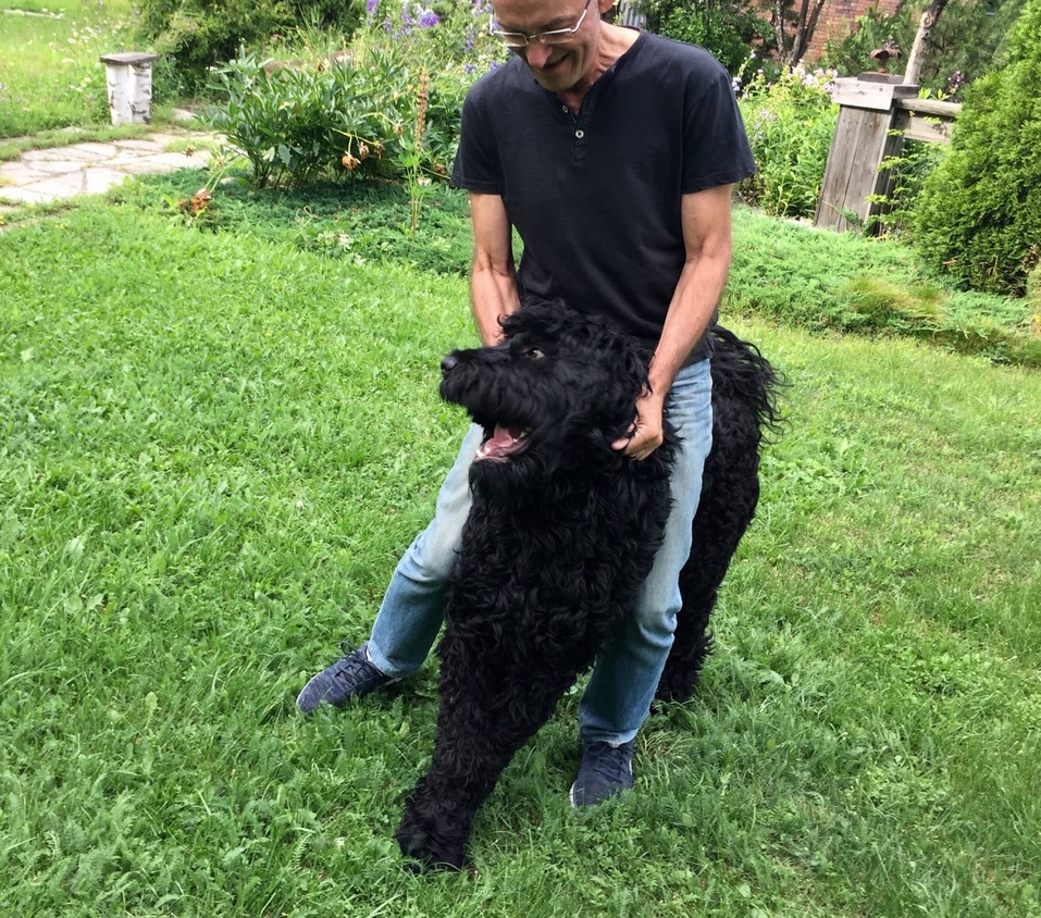 Как побывать на Луне, не прибегая к услугам Илона Маска: рукотворная усадьба на ул. Лунной 22 Как побывать на Луне, не прибегая к услугам Илона Маска: рукотворная усадьба на ул. Лунной 22