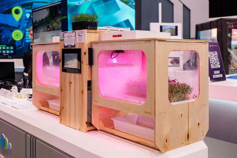 Фото: Светлана Александрова Фото: Светлана Александрова